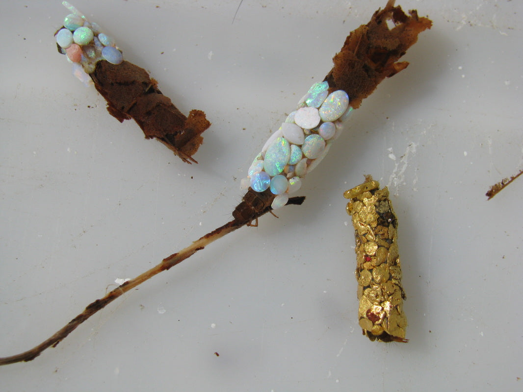 caddisfly larvae cases wrapped in opal stones and gold ingot fragments