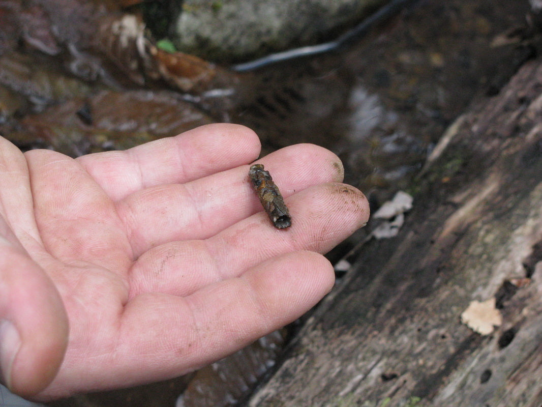 a natural caddisfly case