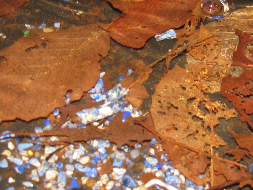 Caddisfly Larvae eating leaves surrounded by shiny gemstones