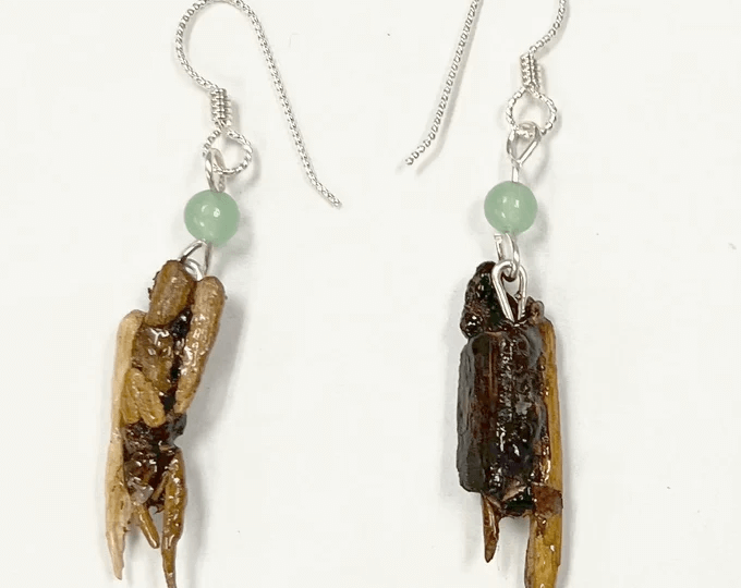 natural caddisfly necklace