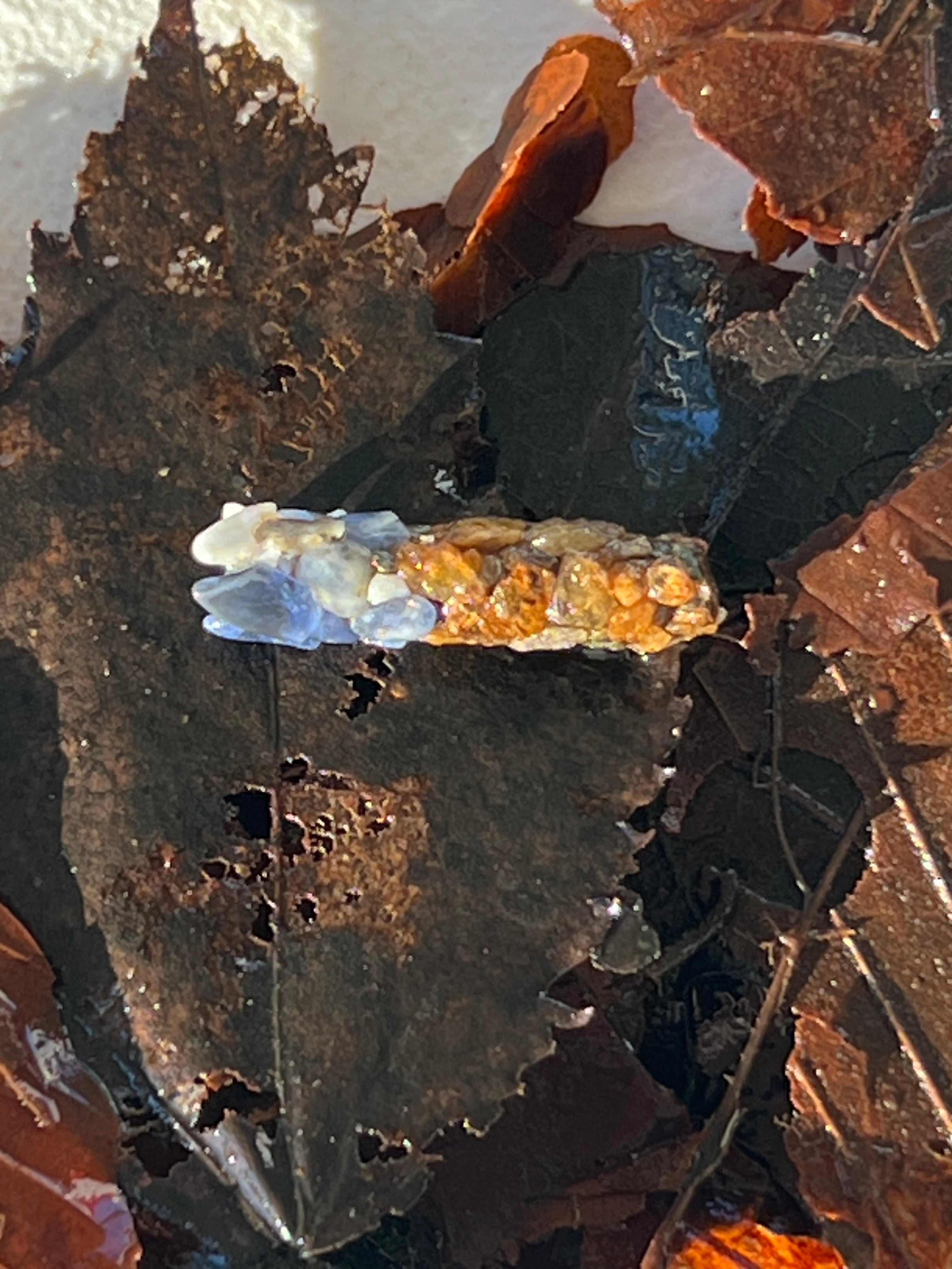 caddisfly larvae cases wrapped in opal stones and gold ingot fragments
