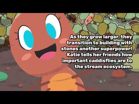 Katie the Caddisfly – Signed Copy by the Author!